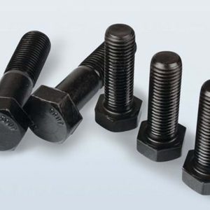 1500x1500_thumb_xcc033160 (1)